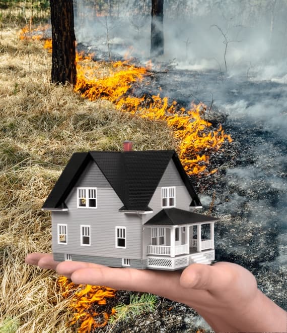 Wildfire Recovery Assistance